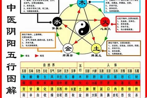 1984年五行缺什么|1984年属鼠是什么命五行是什么 一生命运分析